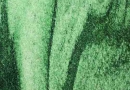 verde-lapponia